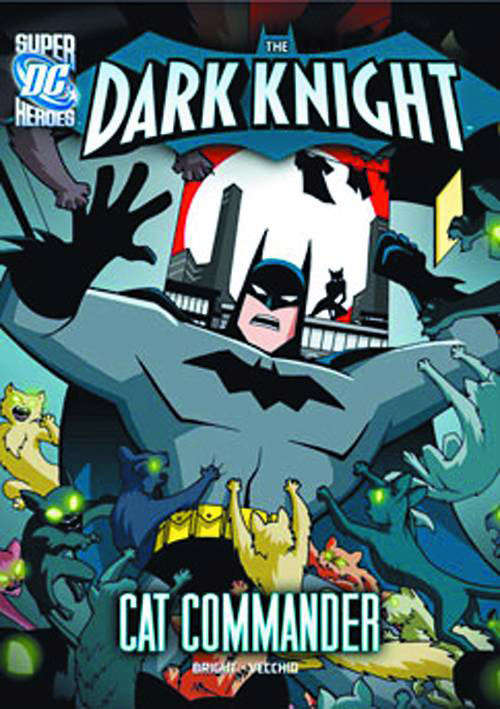 DC Super Heroes: The Dark Knight