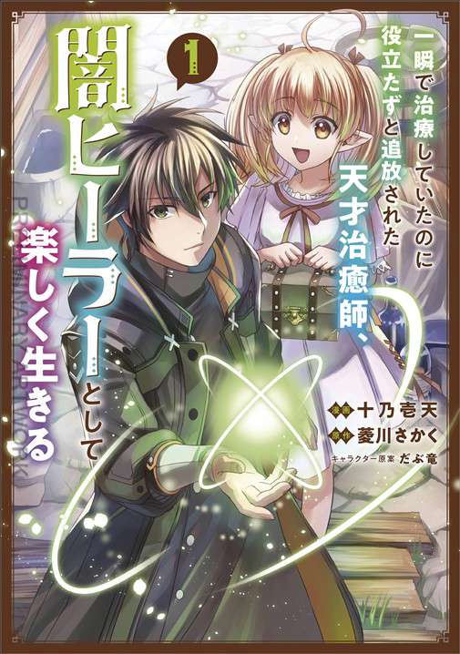 The Brilliant Healer’s New Life in the Shadows