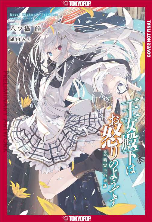 Her Royal Highness Seems to be Angry (Light Novel)