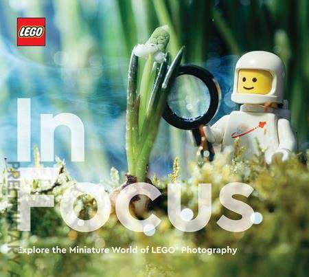 LEGO in Focus