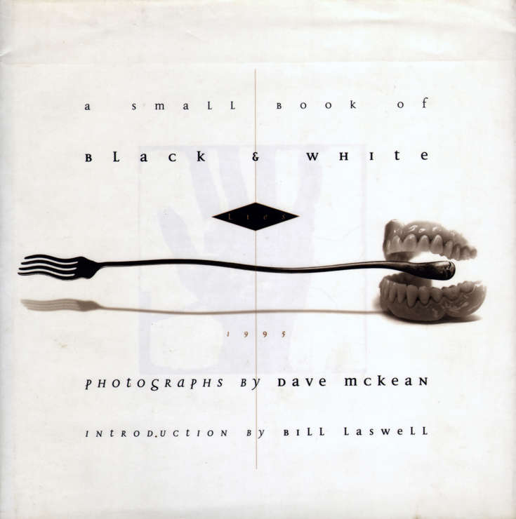 A Small Book of Black & White Lies Hardcover