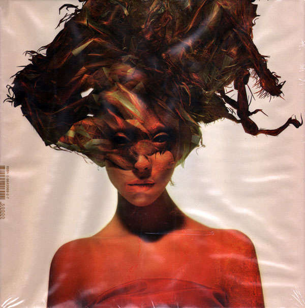 The Particle Tarot (The Major Arcana) Hardcover