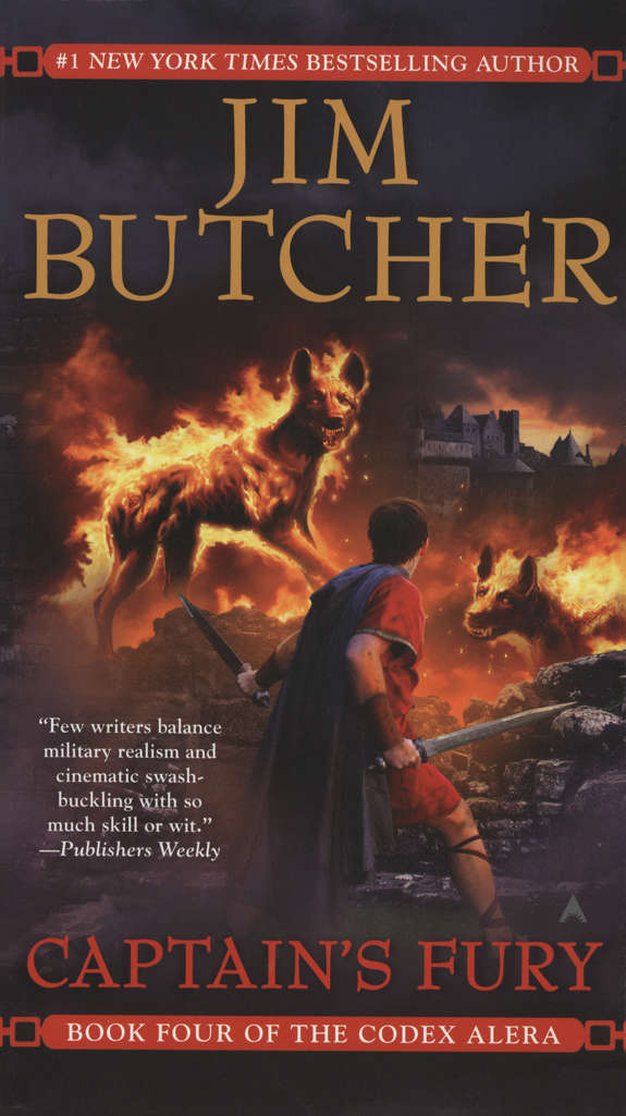 Captain’s Fury (Ace)