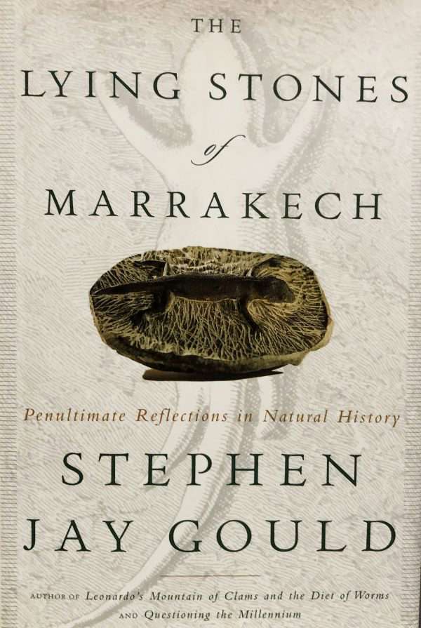 The Lying Stones of Marrakech