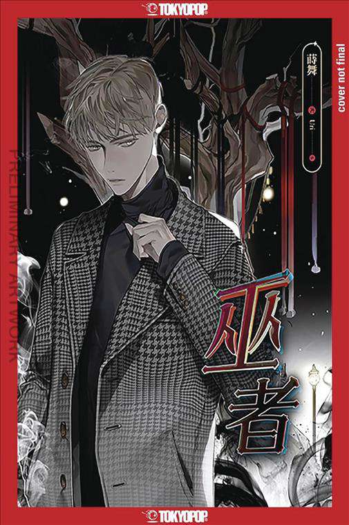 Wizard (Light Novel)