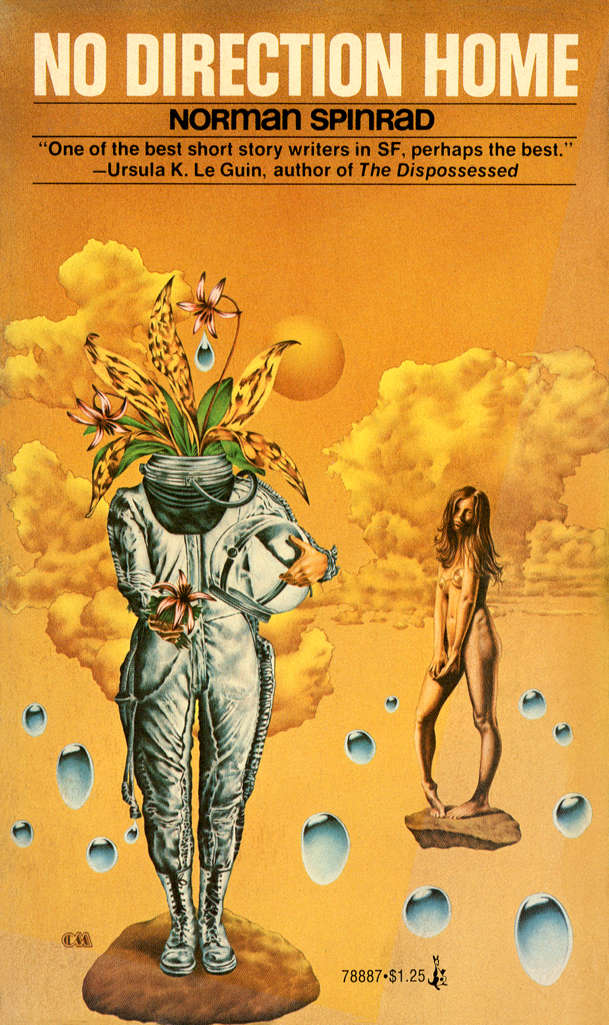 No Direction Home (Pocket)