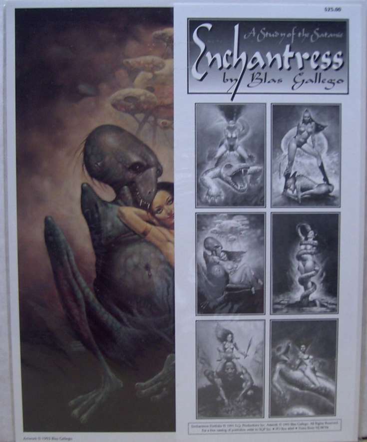 Enchantress Portfolio