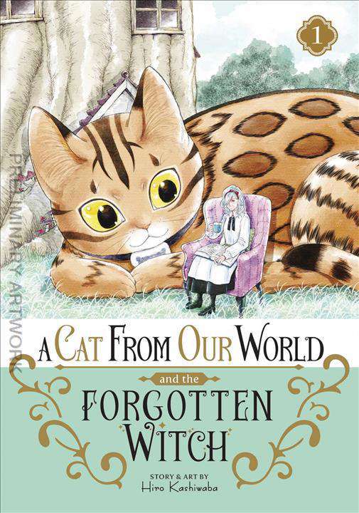 A Cat From Our World &amp; Forgotten Witch