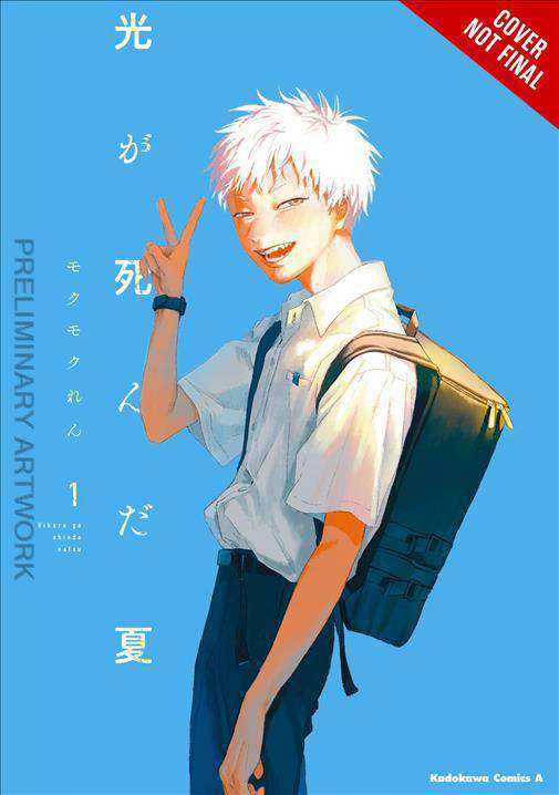 The Summer Hikaru Died