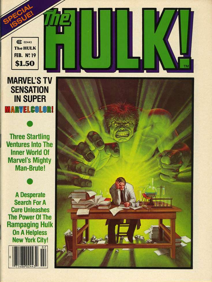 The Hulk #19