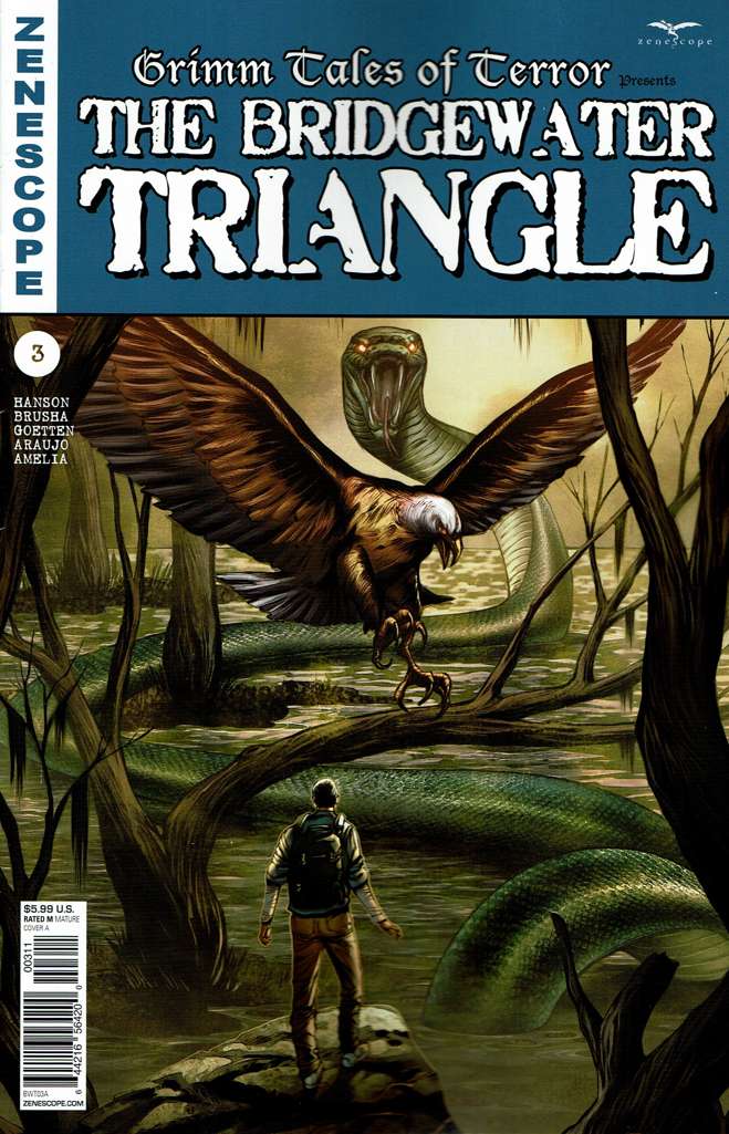 Grimm Tales of Terror presents The Bridgewater Triangle #3 Variation A