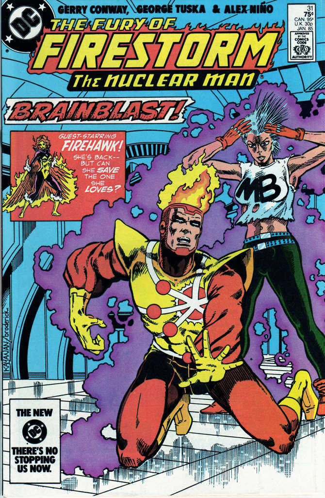 The Fury of Firestorm #31