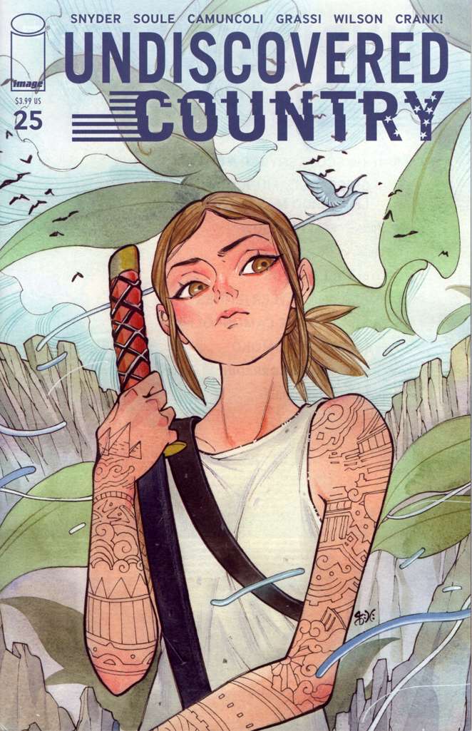 Undiscovered Country #25 Variation B