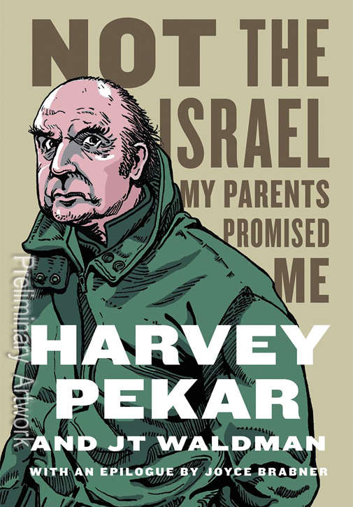 Not The Israel My Parents Promised Me