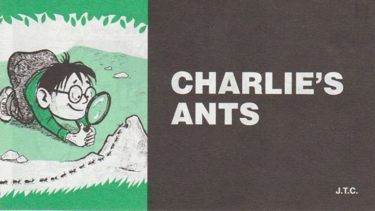 Charlie’s Ants