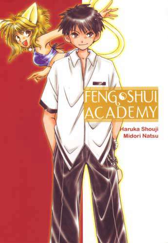 Feng Shui Academy
