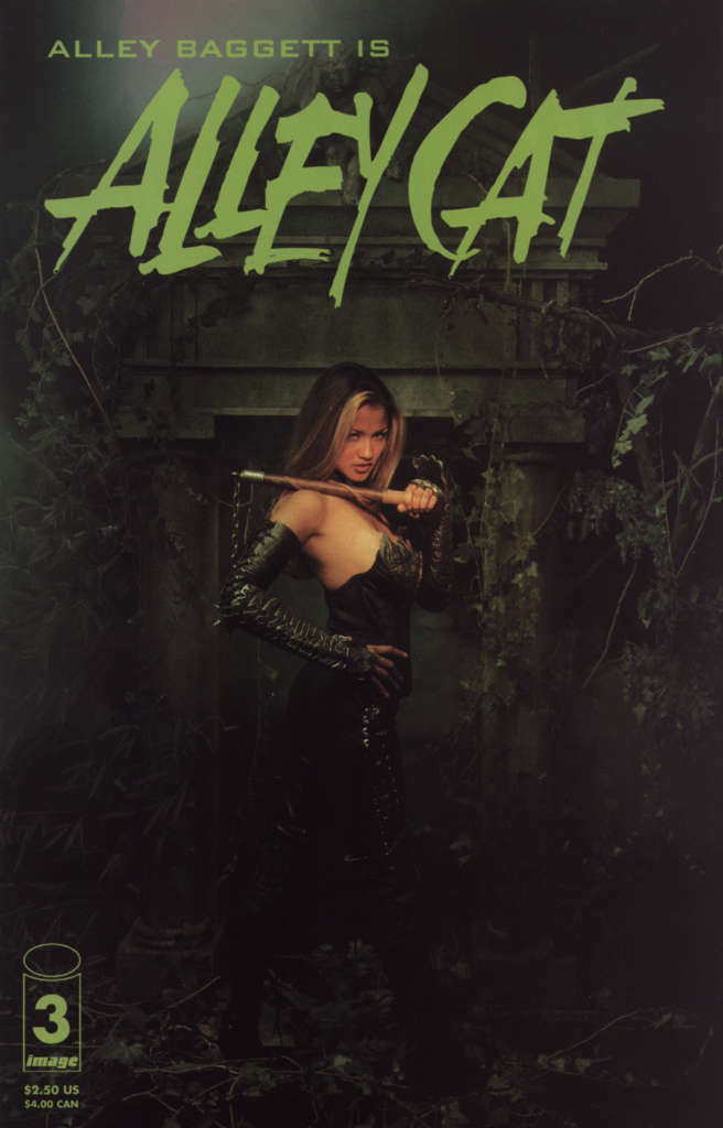Alley Cat #3