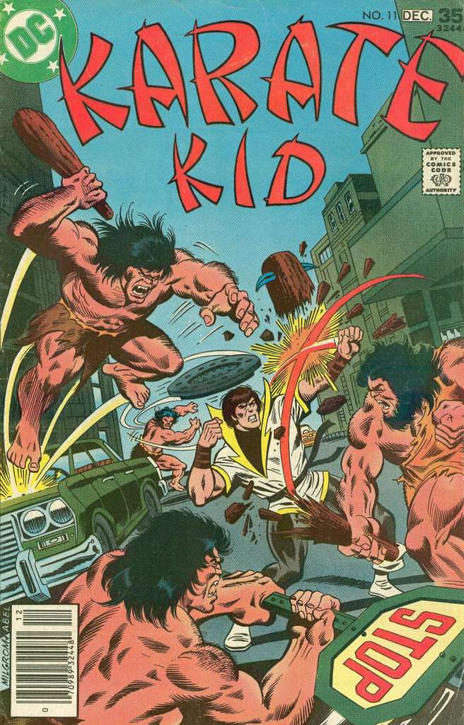 Karate Kid #11