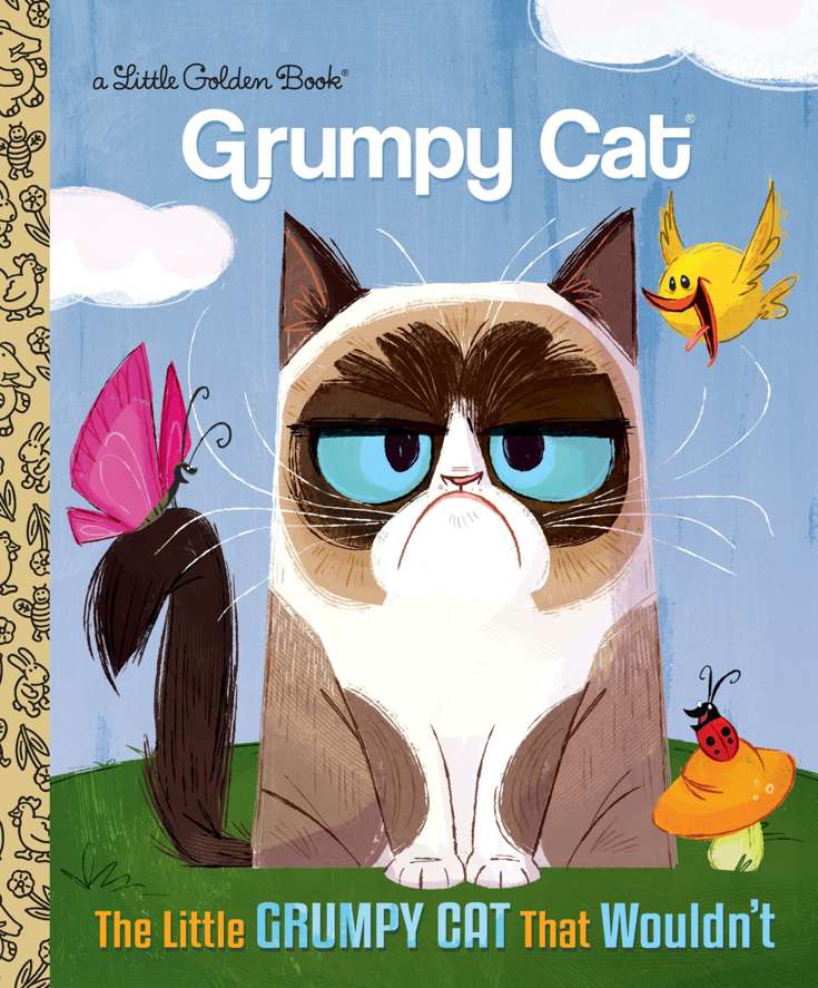 The Little Grumpy Cat That Wouldn’t