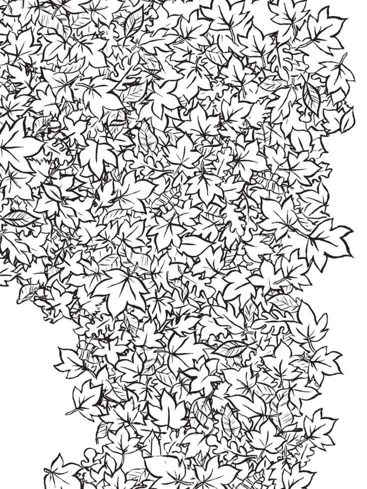 Ivy