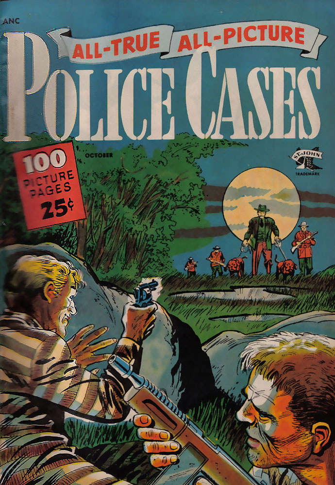 All-True All-Picture Police Cases