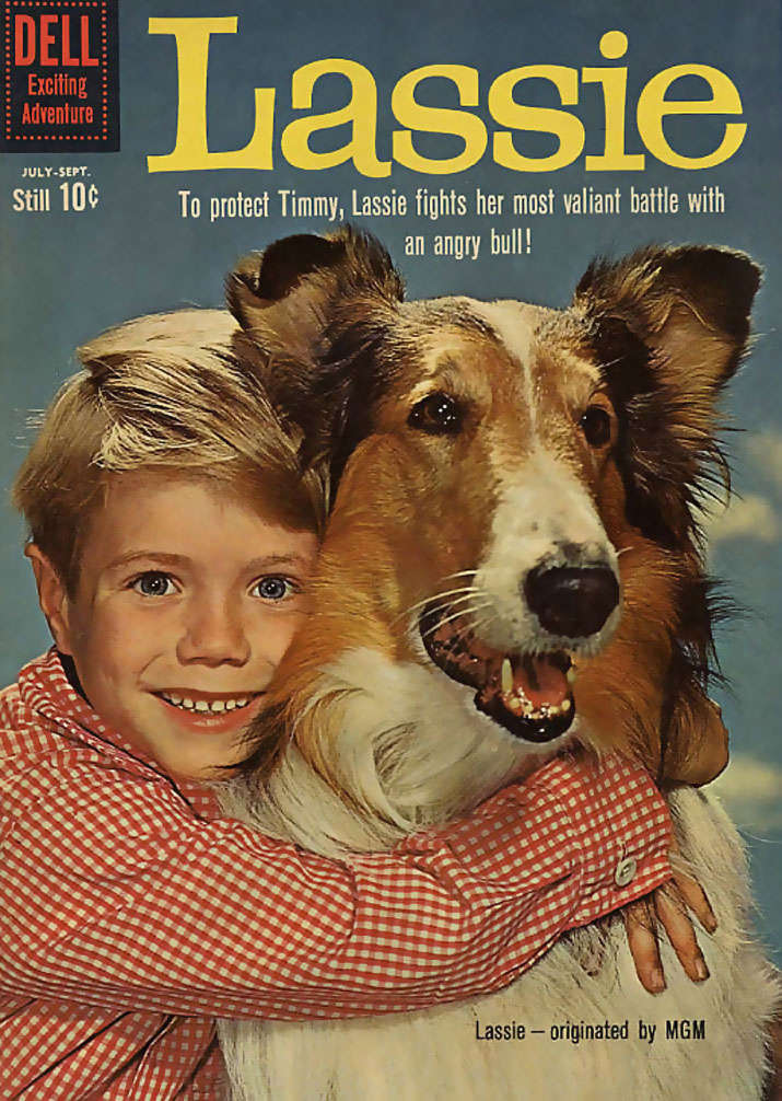 Lassie #50