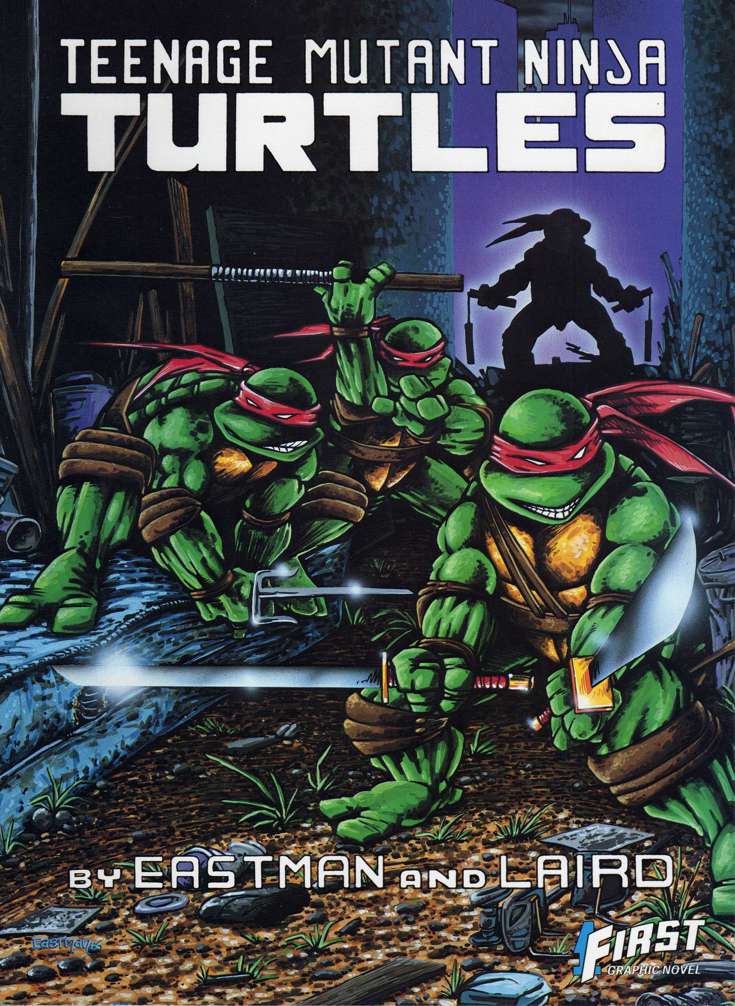 First Graphic Novel Book #9