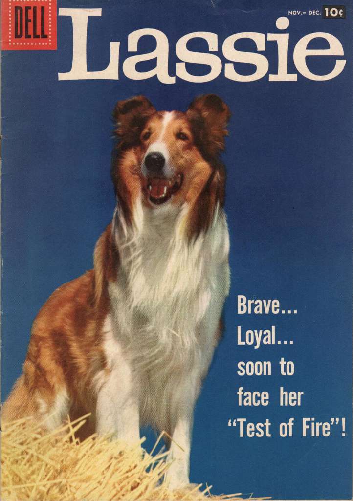 Lassie #37