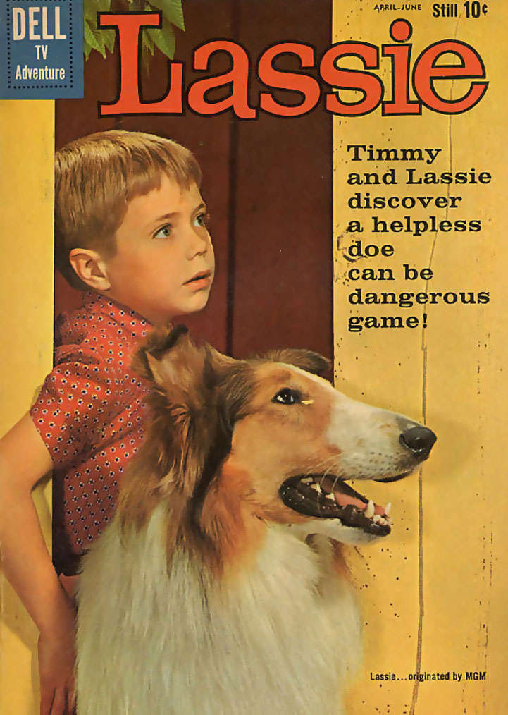 Lassie #49