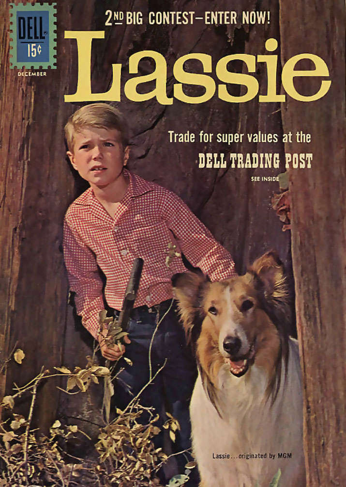 Lassie #55