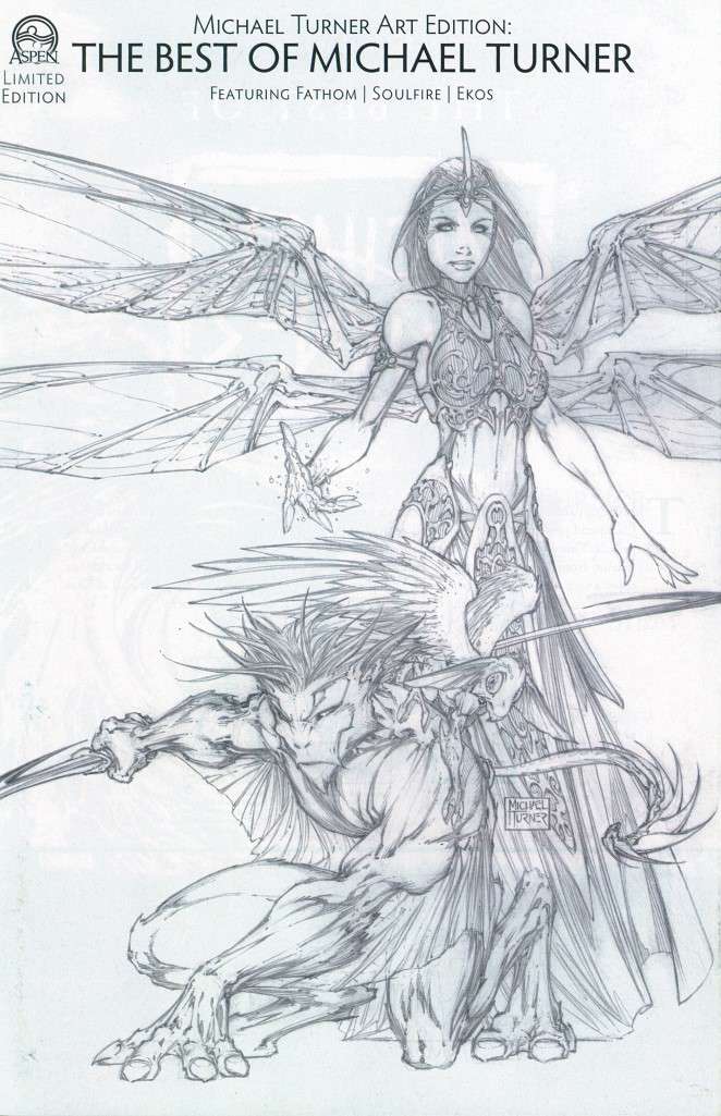 Michael Turner Art Edition: The Best of Michael Turner