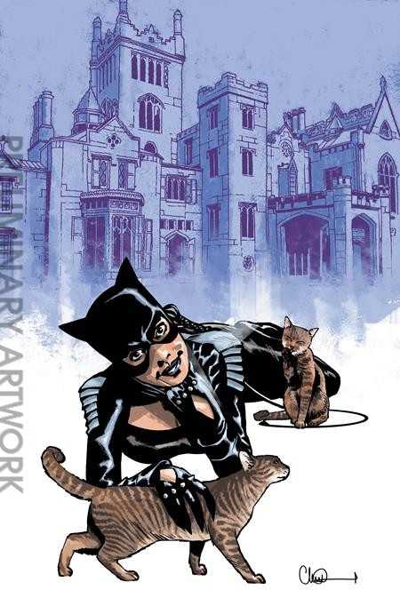 Catwoman (5th Series) #91 Variation C