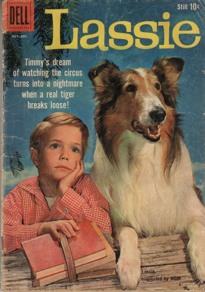 Lassie #47