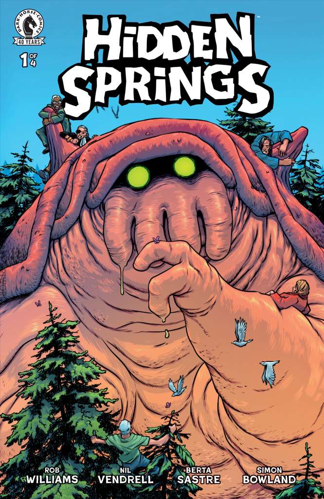 Hidden Springs #1 Variation B