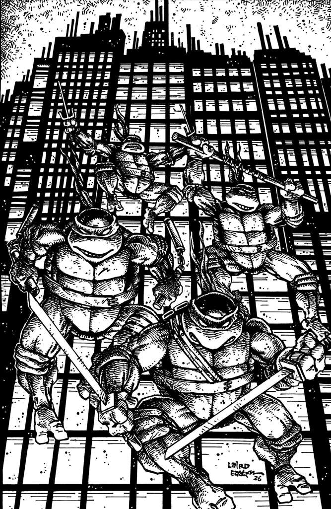 Teenage Mutant Ninja Turtles (6th Series) #20 Variation H
