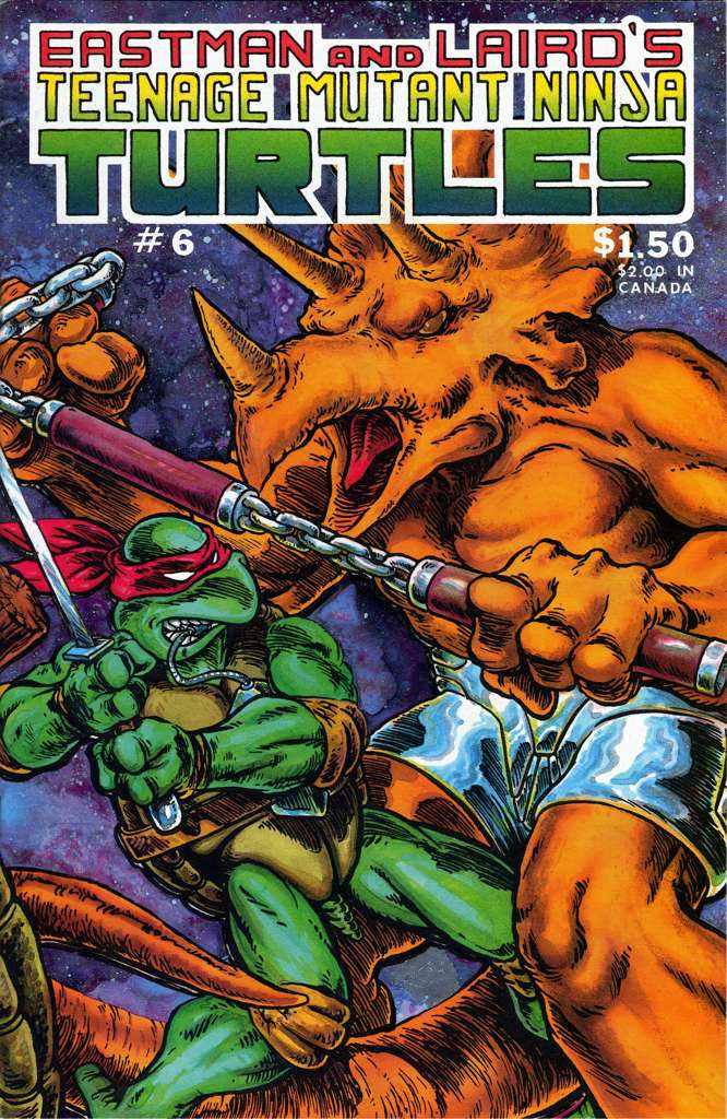 Teenage Mutant Ninja Turtles (1st Series) #6