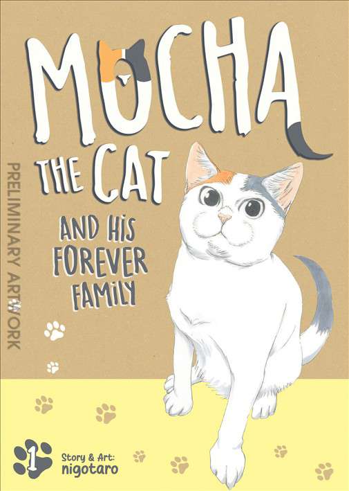 Mocha the Cat and His Forever Family