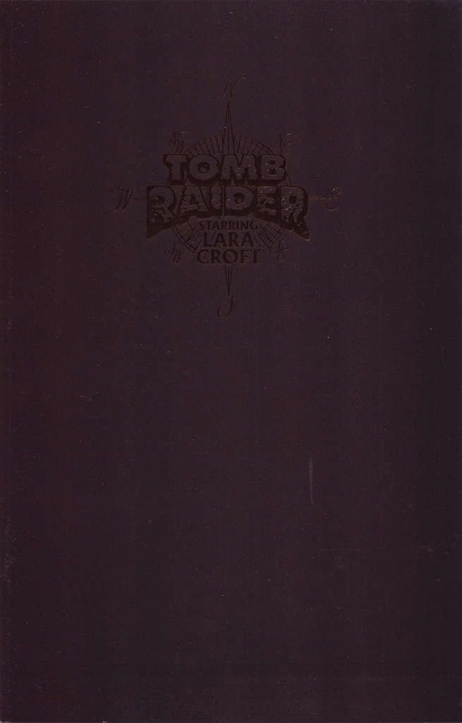 Tomb Raider: The Series #21