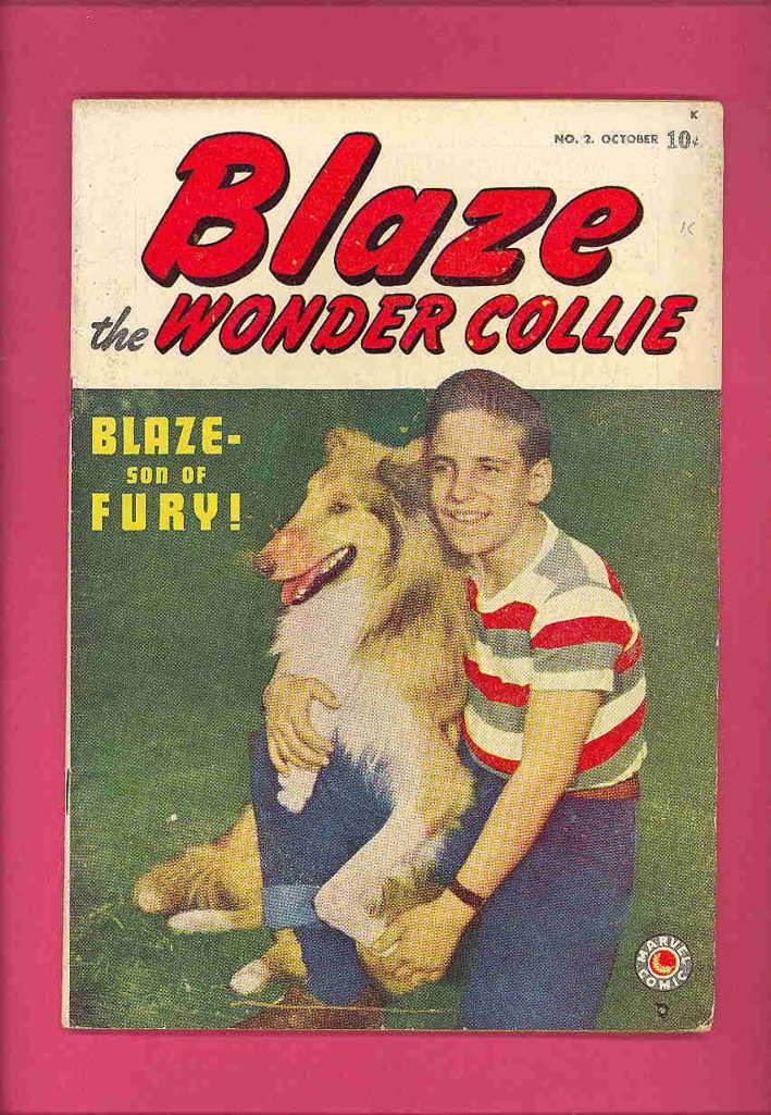 Blaze the Wonder Collie