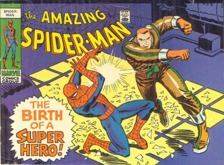 The Amazing Spider-Man: The Birth of a Super Hero!