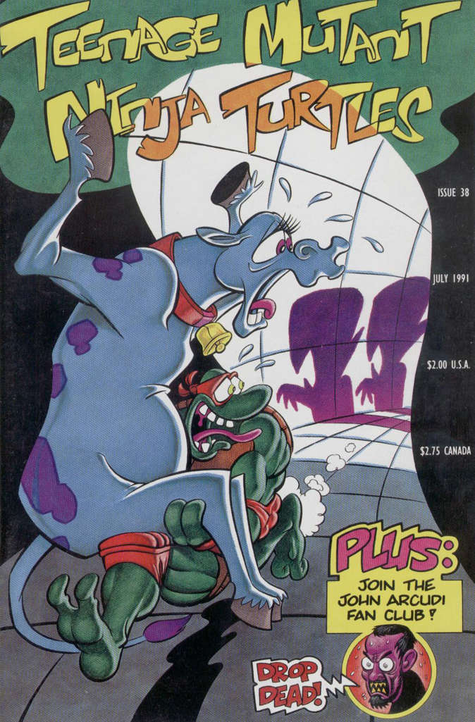Teenage Mutant Ninja Turtles (1st Series) #38