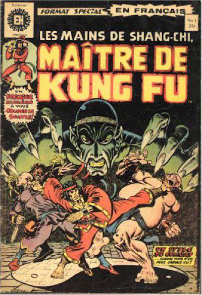 Maître du Kung Fu