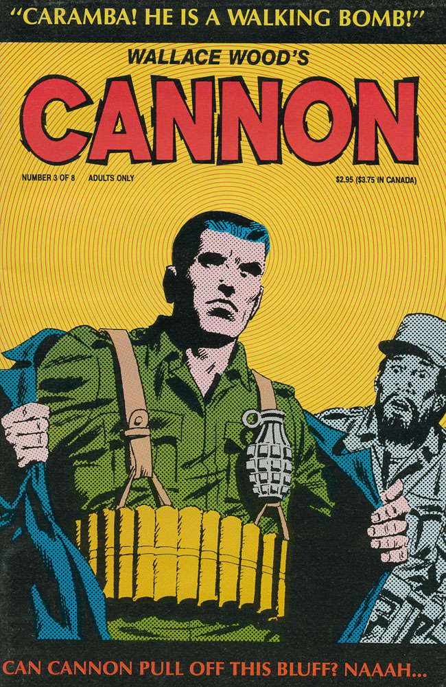 Cannon #3