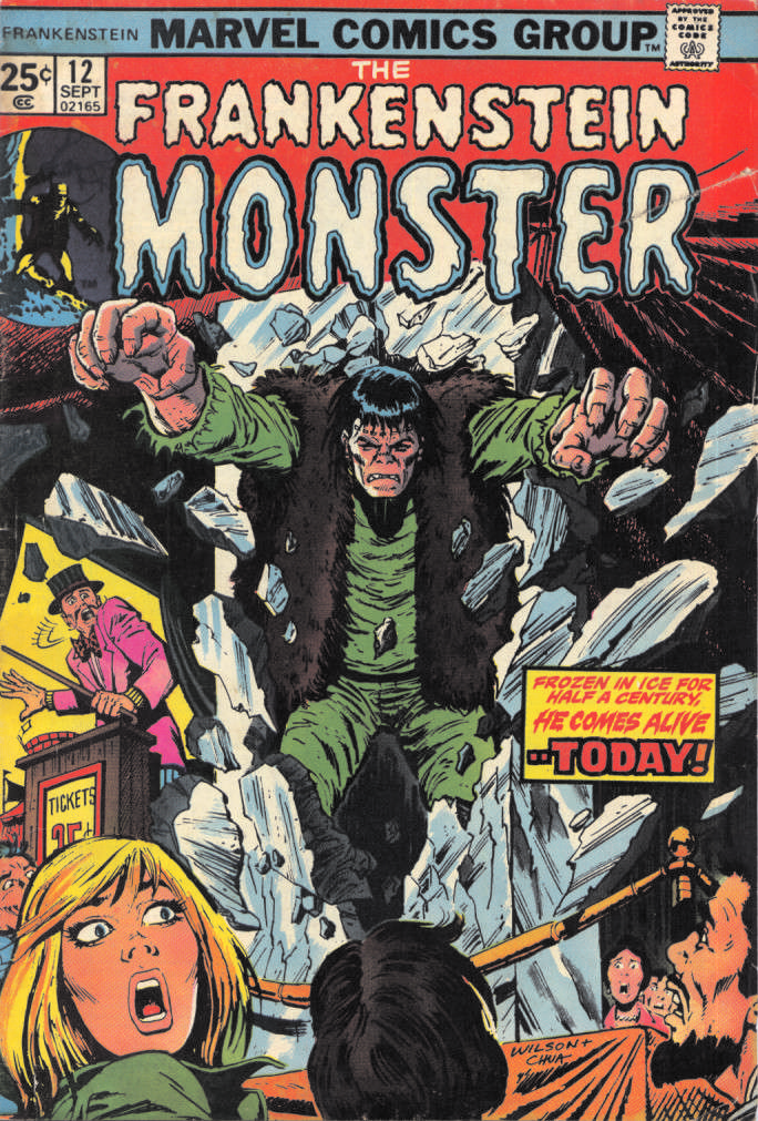 Frankenstein (The Monster of…) #12