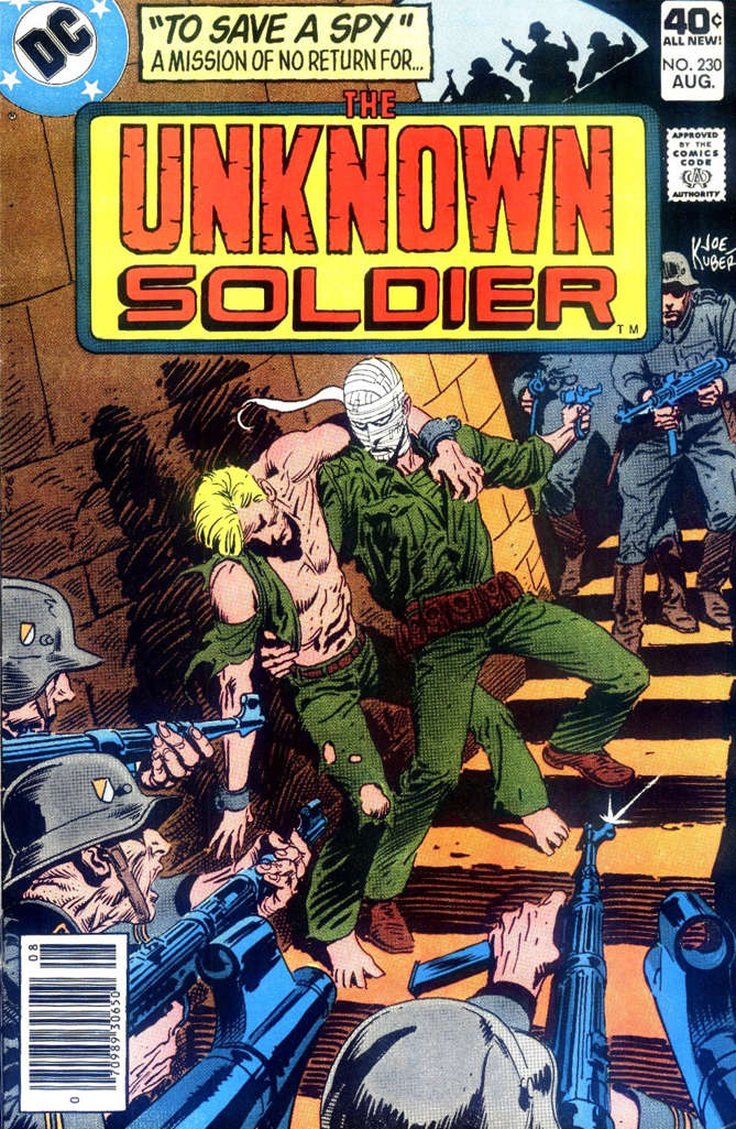Unknown Soldier #230