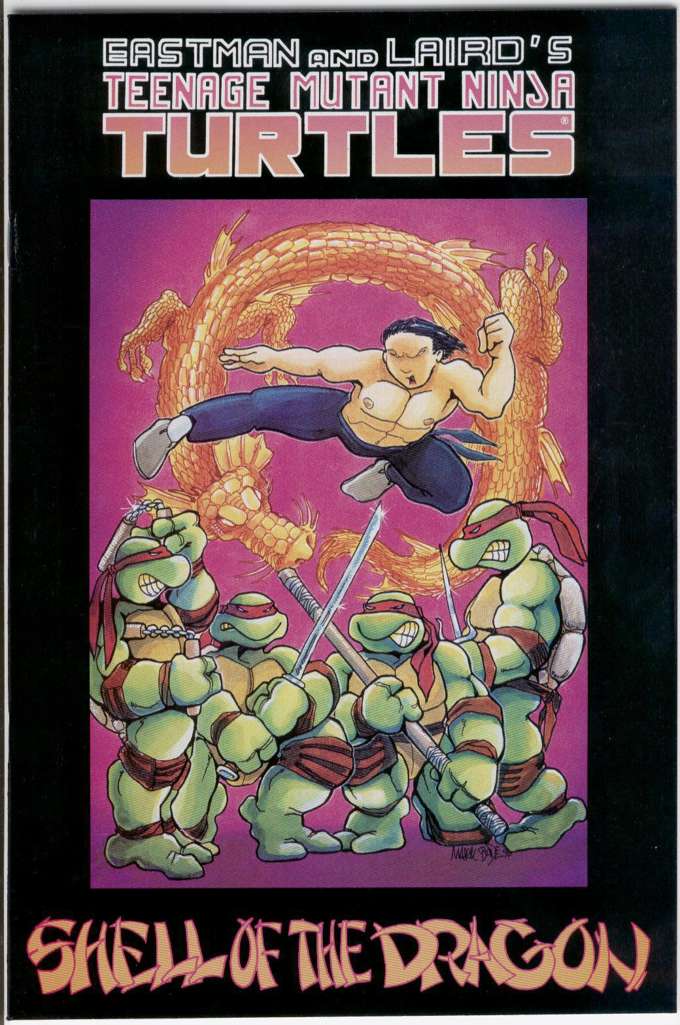 Teenage Mutant Ninja Turtles Shell of the Dragon