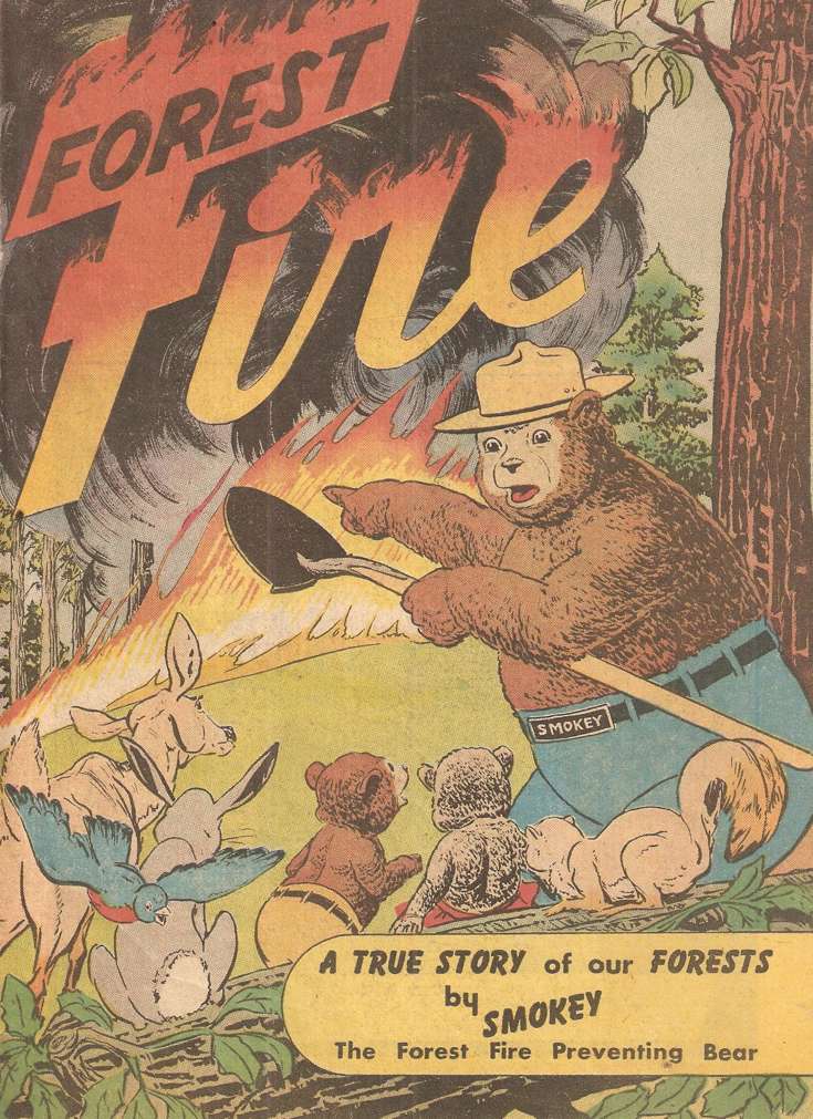 Forest Fire