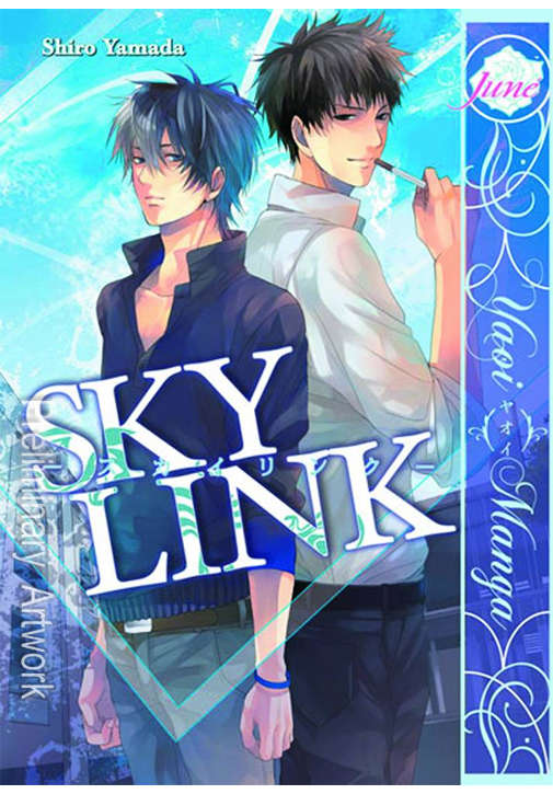 Sky Link