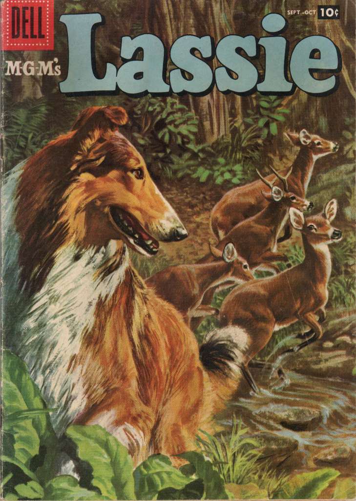 Lassie #36
