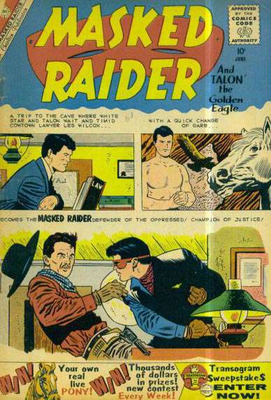 Masked Raider #24